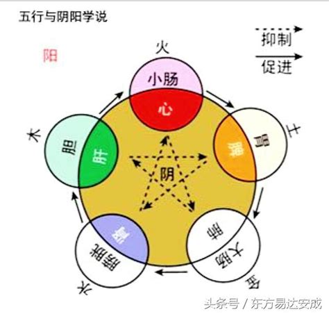 中醫陰陽五行學說